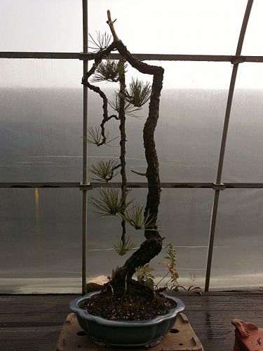 201201~1 (3).JPG