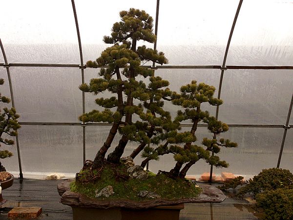 201202~1.JPG