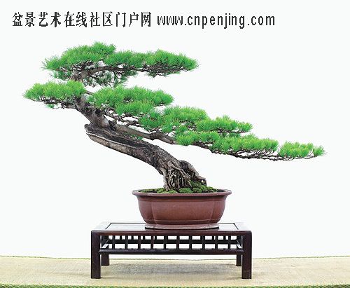 20070925_1124b980525058eb476dOhO7wYVz3VSL.jpg
