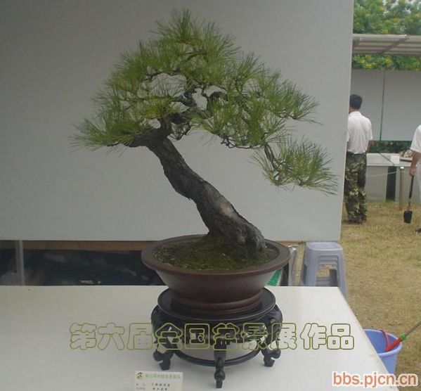 20071218_a3d1ec2b9ea6cef2289epQAhA4CYd5Iq.jpg