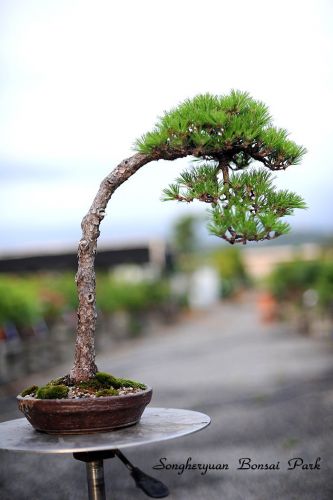 F23_20110619115335746_jpg_thumb.jpg