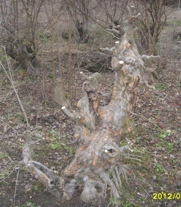 QQͼ20120209220736.jpg