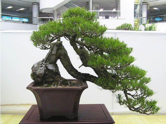 img_b_02.gif
