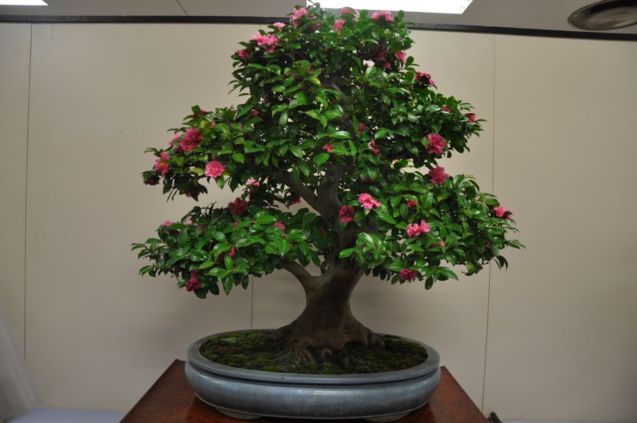 Ƭ 094.jpg