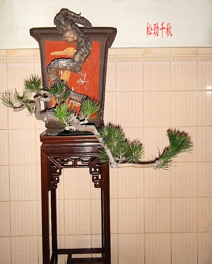KZS(A4O%`9FJ85H(9BGB8WH.jpg