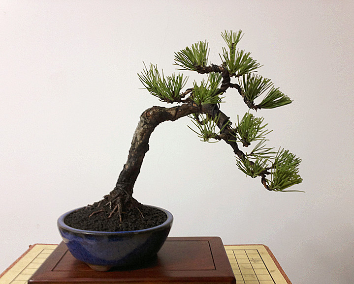20120212789_.jpg
