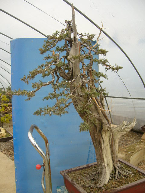  P1050088.JPG