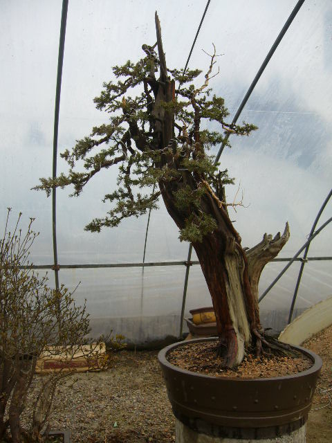 P1050098.JPG