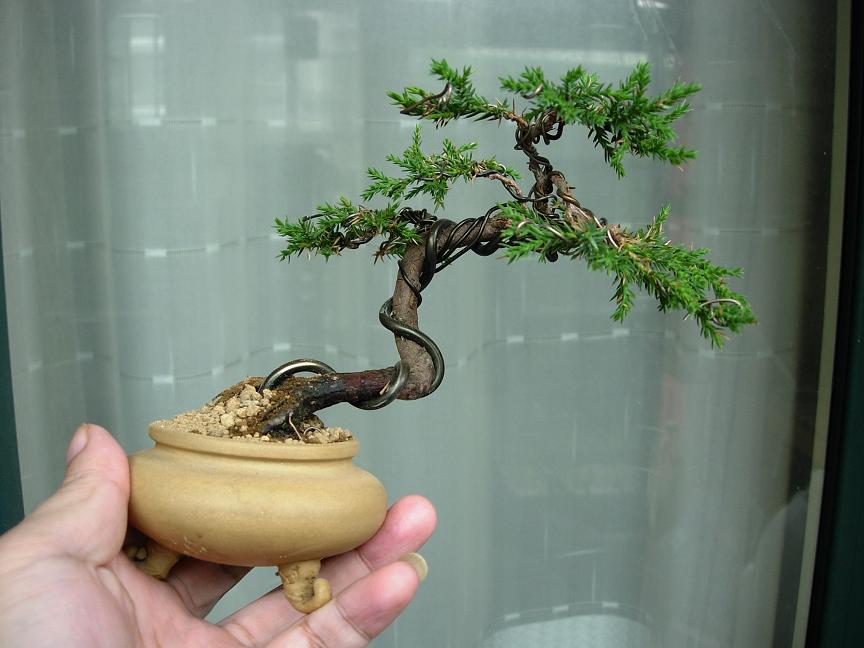 DSCN6280.JPG