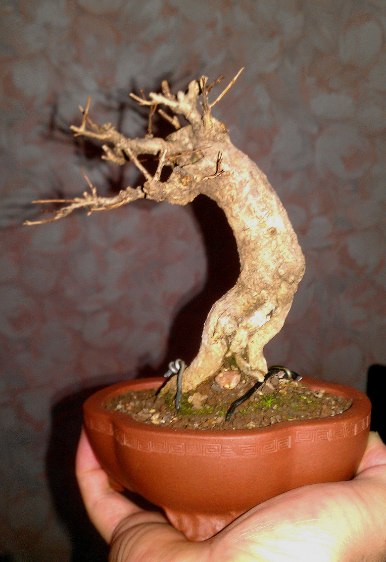 IMAG0282_.jpg