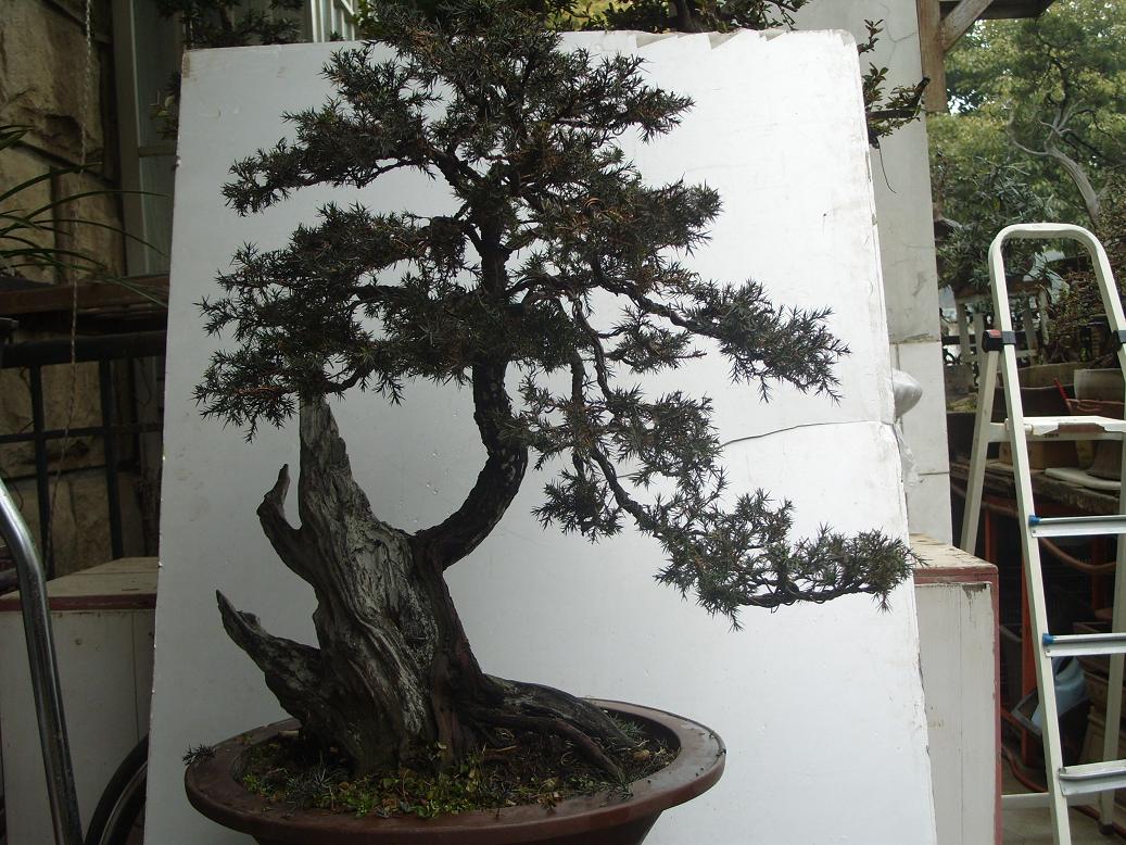 S1050525.JPG