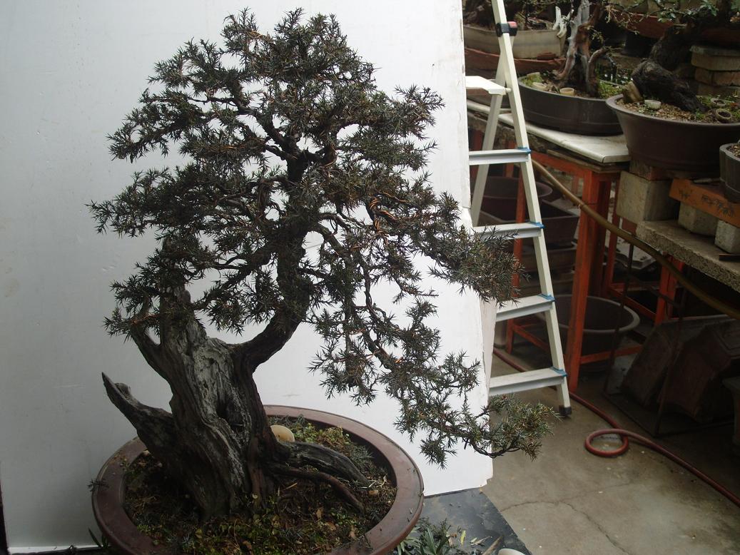 S1050528.JPG