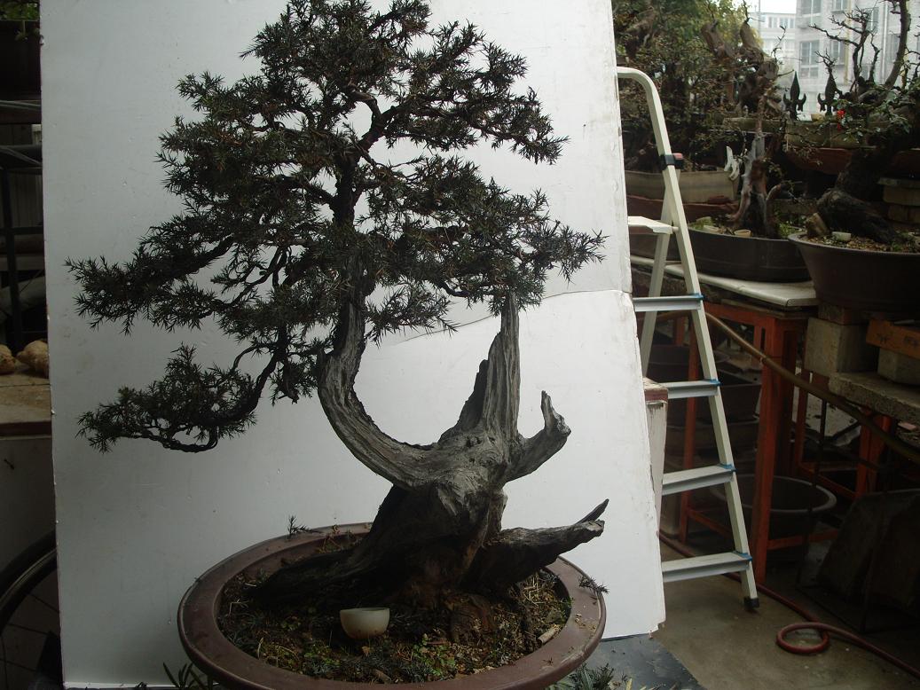 S1050529.JPG