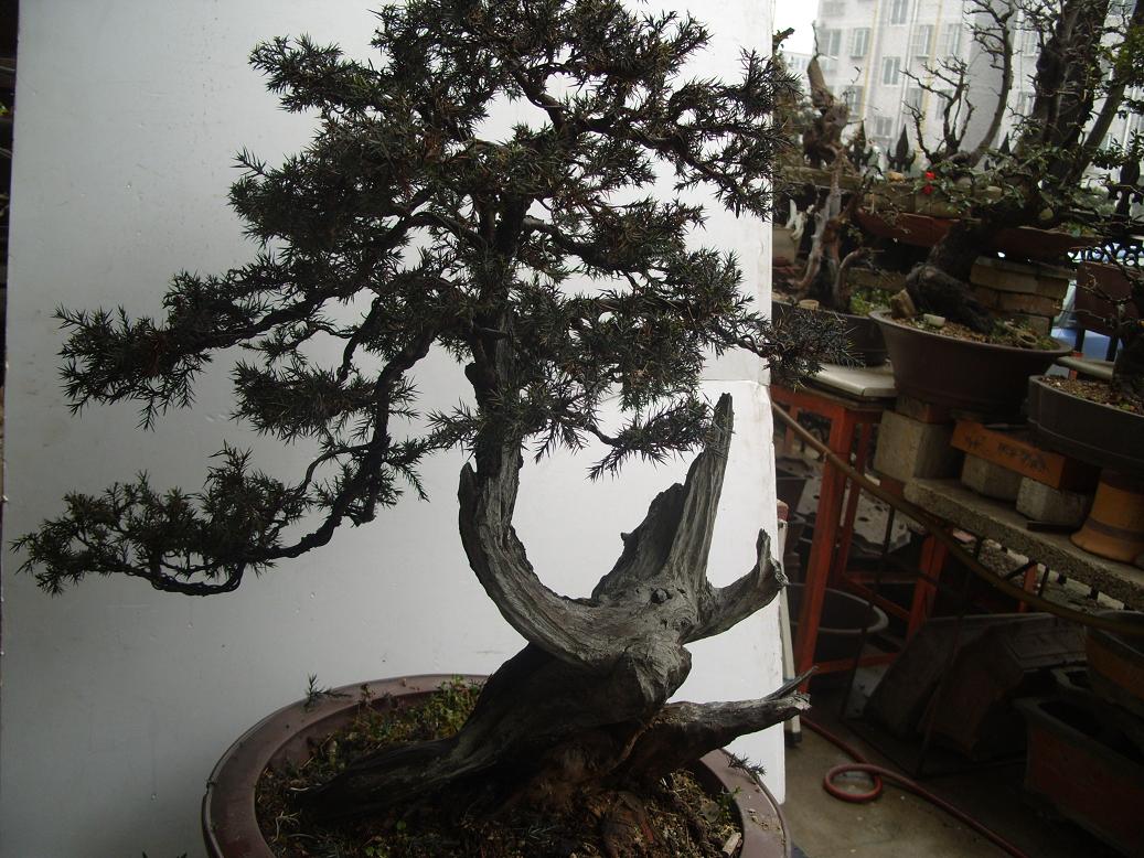 S1050531.JPG