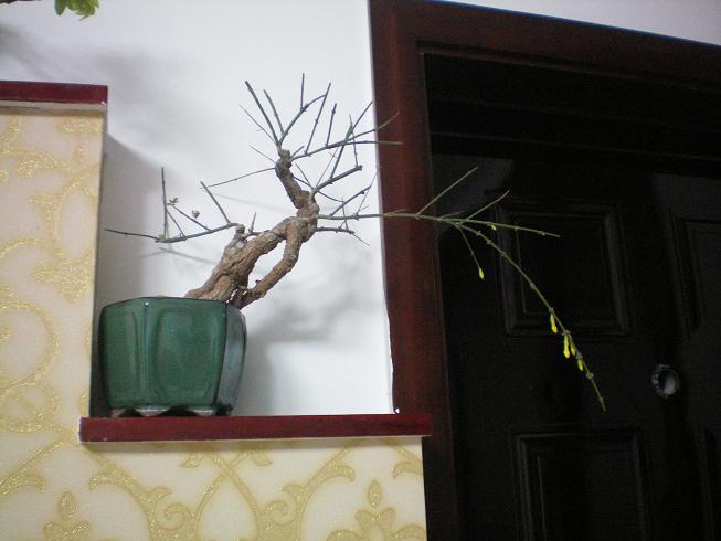 100_0860.JPG