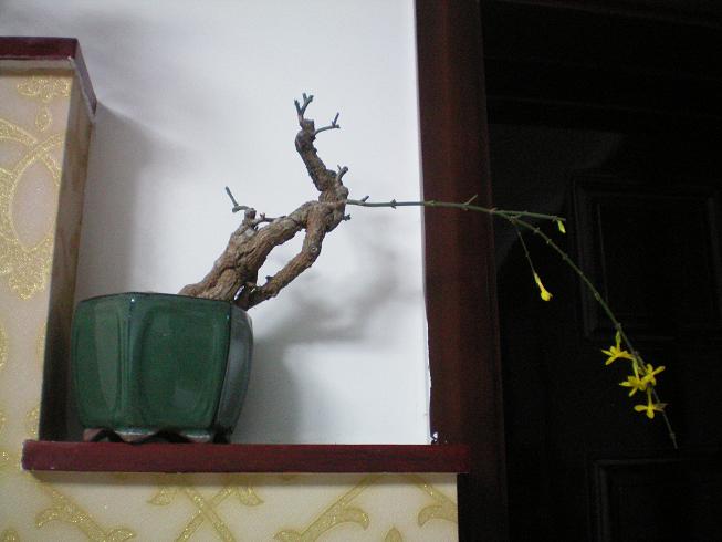 100_0865.JPG