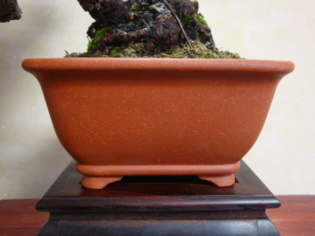 DSC07678.JPG