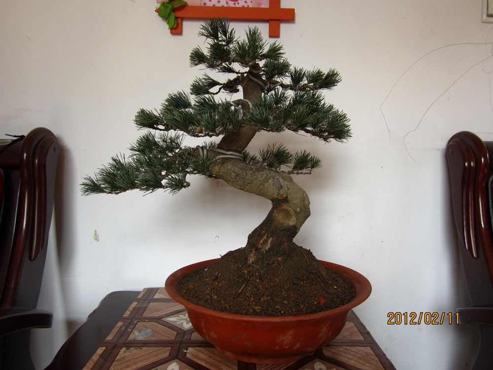 IMG_0541.jpg