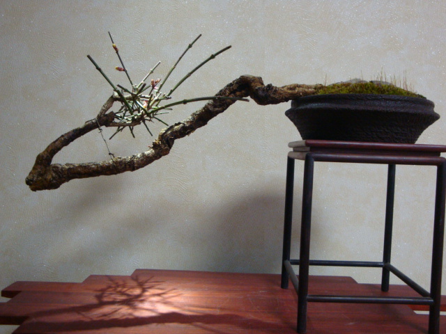 DSC07715.JPG