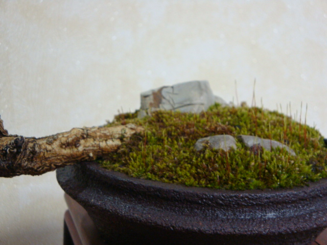 DSC07716.JPG