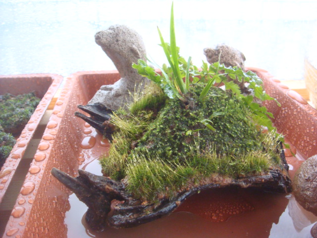 DSC09416.JPG