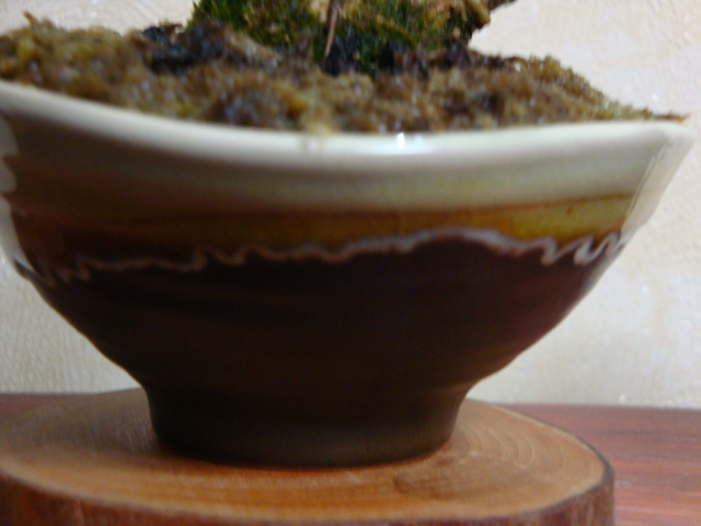DSC07775.JPG