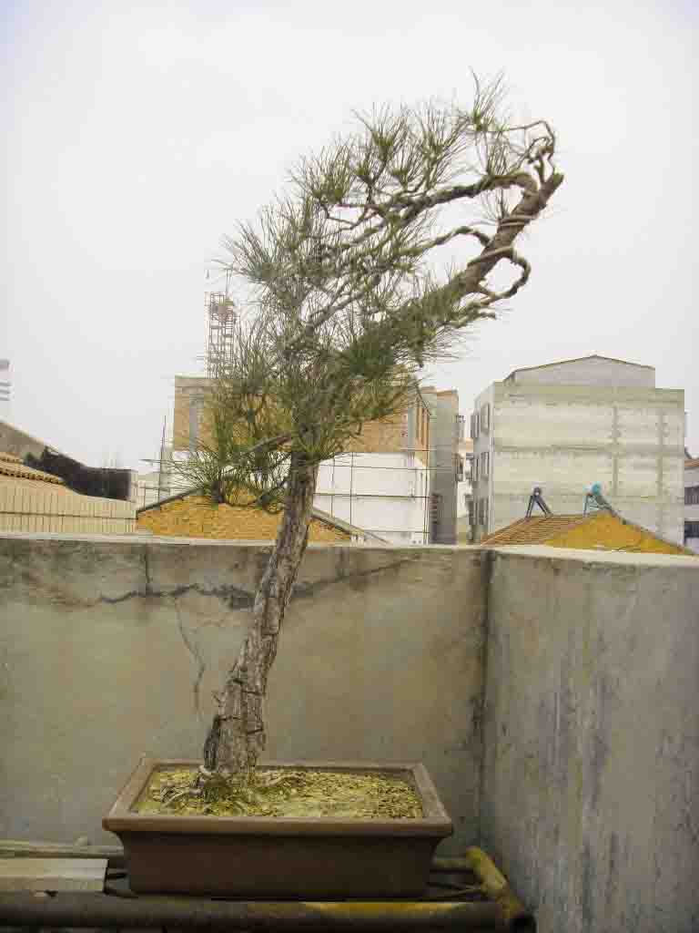 SDC12498.JPG