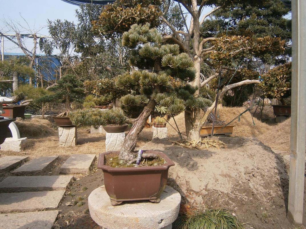 P2171990.JPG