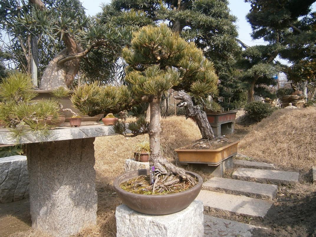 P2171989.JPG