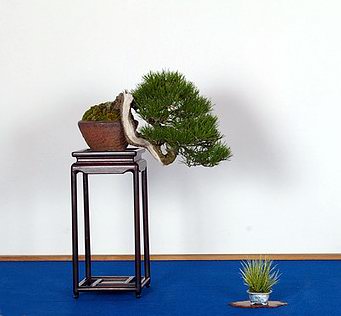 20E18.jpg