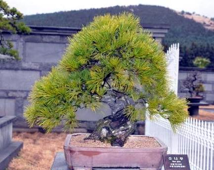0907d7.jpg