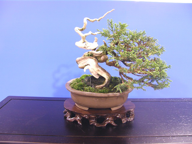 201111212138151f3.jpg