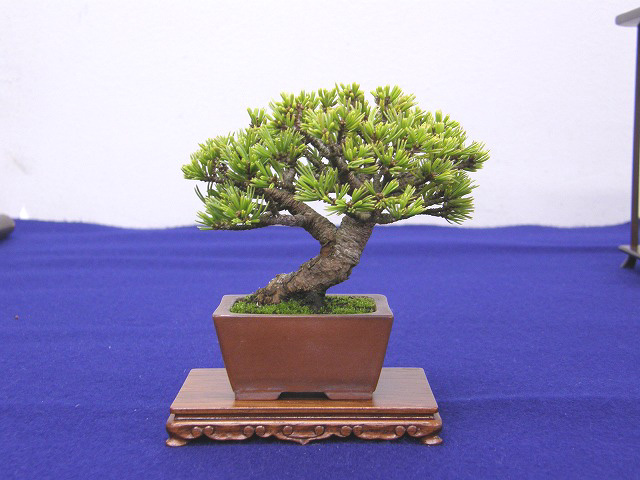 201201172252575e2.jpg