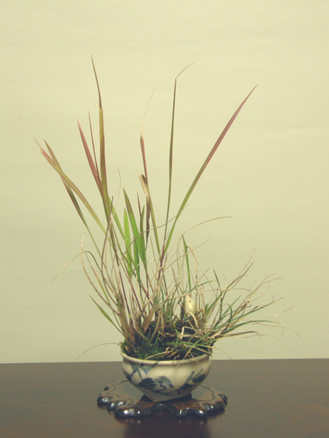 2011103120032557d.jpg