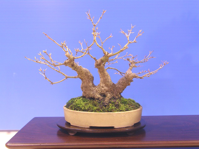2011112121401961e.jpg