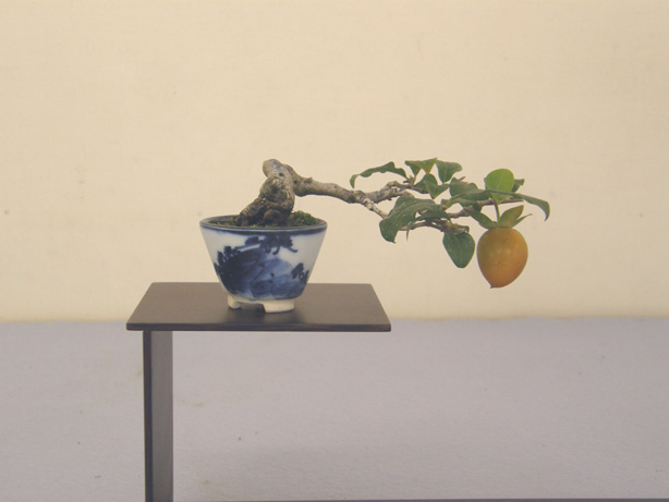 20111014222823c5c.jpg