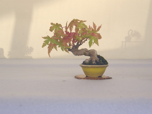 20111014222849ef5.jpg