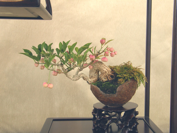20111015194357e42.jpg