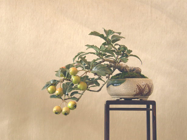 20111015194420d5e.jpg