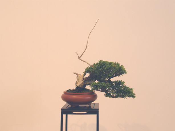 20111015194432a5e.jpg