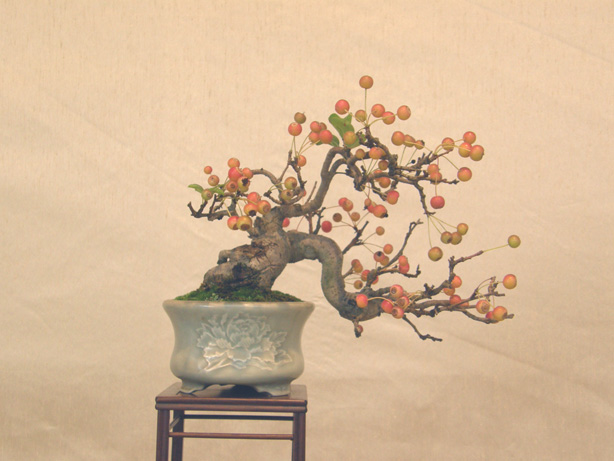 20111015194438ba9.jpg