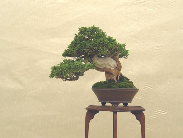 20111015194537bf8.jpg