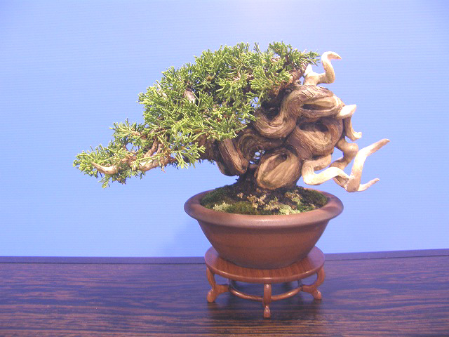 20111121213506f53.jpg