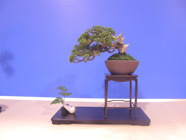 20111121213901f22.jpg