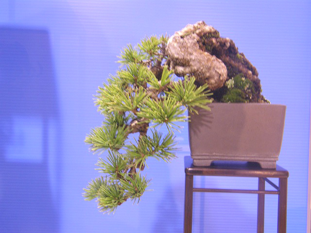 20111121213916f60.jpg