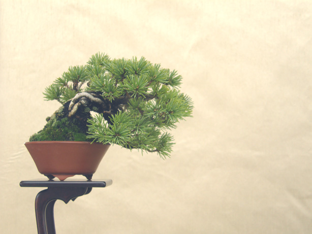 201110151943452e9.jpg
