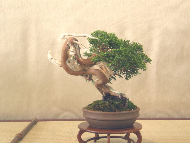 201110151943518eb.jpg