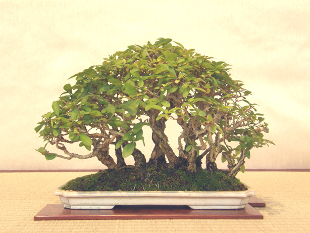 201110151945259f0.jpg