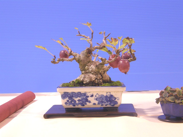 201111212134089c1.jpg