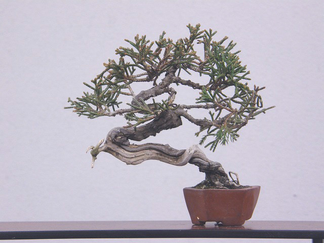 201201172253101a4.jpg